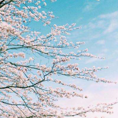 BOB半岛·中国官方网站入口